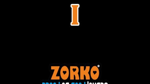 Best Selling Food Items — ZORKO Limited